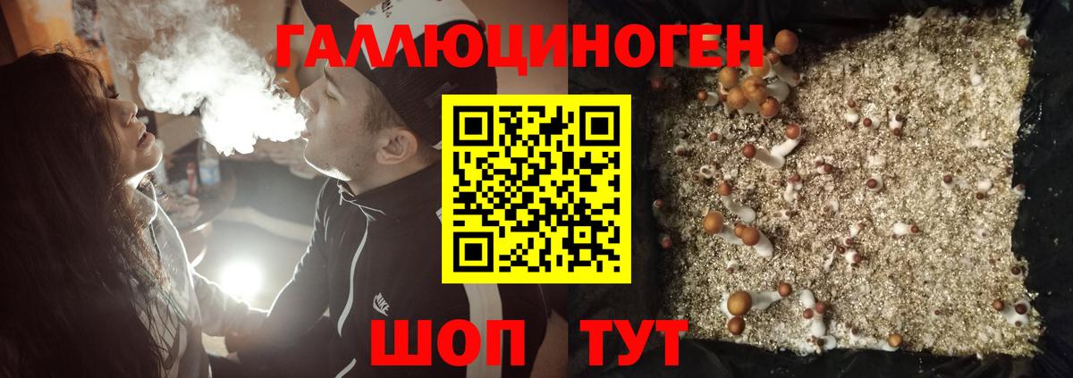 Псилоцибиновые грибы мицелий Семёнов
